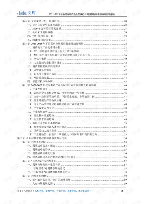中國(guó)電聲產(chǎn)品及配件行業(yè)調(diào)研與利基市場(chǎng)戰(zhàn)略（2021-2025年）