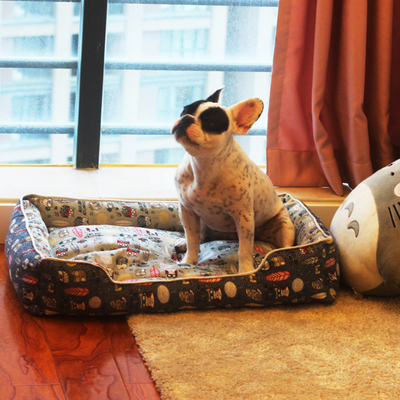 養(yǎng)寵物必備的實用工具，看看你是否準(zhǔn)備齊了