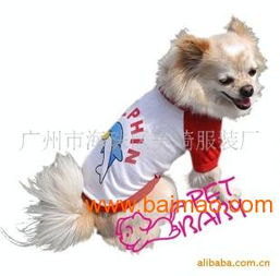 廠家供應新款時尚寵物春夏裝，打造愛寵潮流新風尚