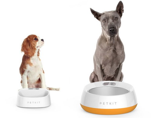 小佩獲億元B輪融資 從智能用品邁向智慧門店，打造寵物生活新生態(tài)