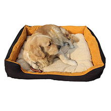 寵物專用品 從必需品到生活美學(xué)，打造愛寵的健康與快樂生活