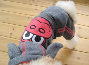 美琪妃寵Feipet 日單寵物服裝批發與寵物用品一站式指南