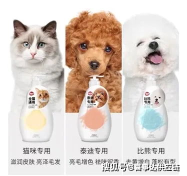 從美國市場洞察寵物用品分類與增長趨勢