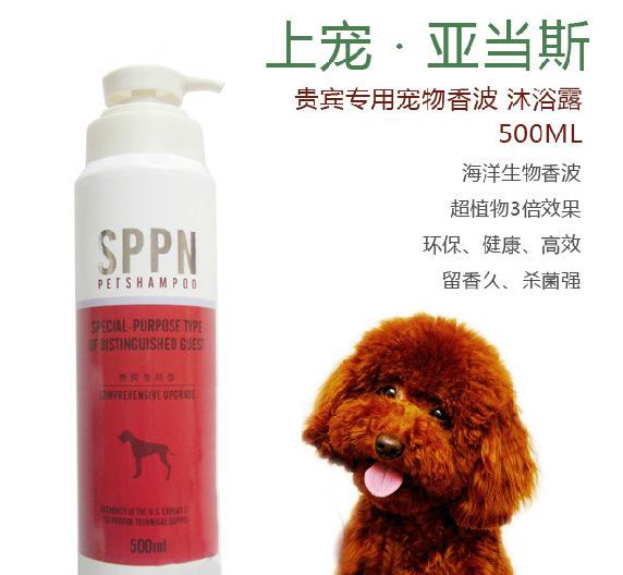 SPPN亞當斯寵物沐浴露 紅棕毛貴賓的專屬奢華SPA體驗