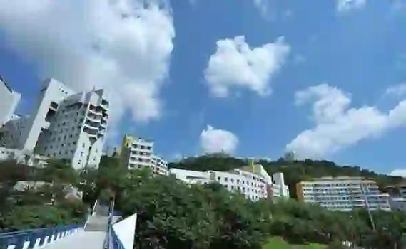 2022年出國留學，這些中介值得考慮